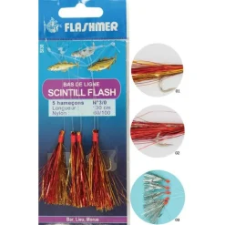 Train De Plumes Mer Flashmer Scintill' Flash