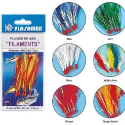 Train De Plumes Mer Flashmer Filament