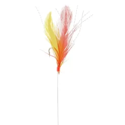 Train De Plumes Srt Plumes Rouges Et Jaunes
