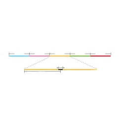 Tresse Sunline Fun Boat - 300M